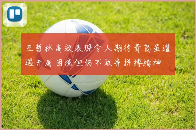 王哲林高效表现令人期待青岛虽遭遇开局困境但仍不放弃拼搏精神