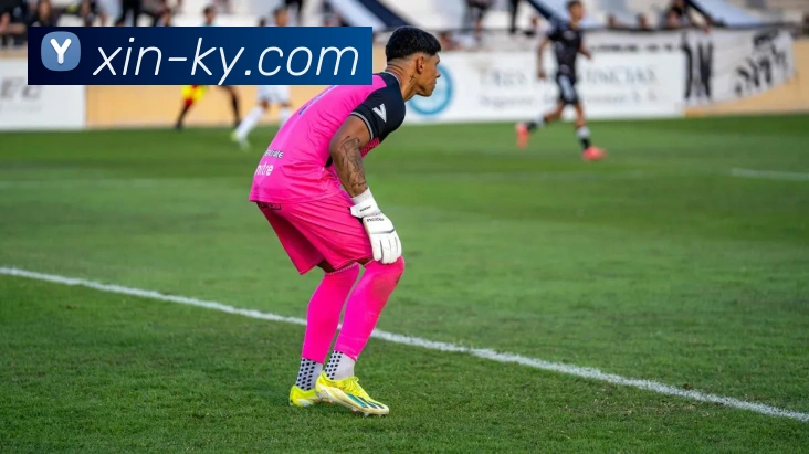 开云体育服务体系